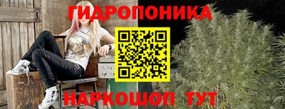 прущая мука Тара